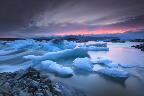 arctic