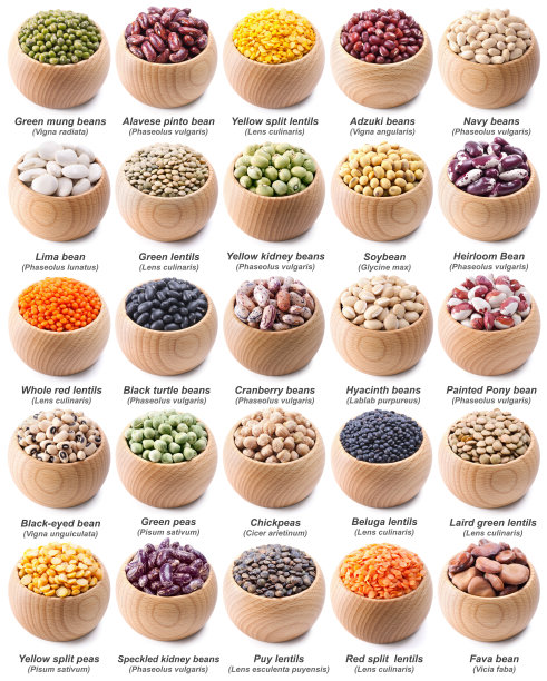 legume