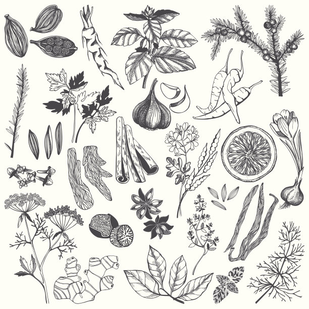 fennel