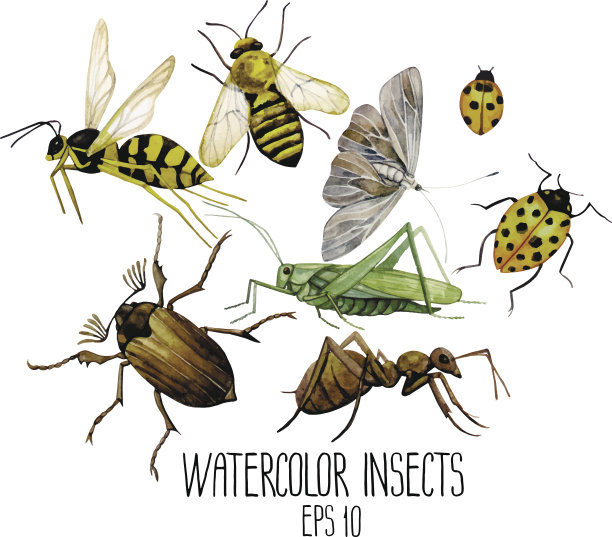 entomology