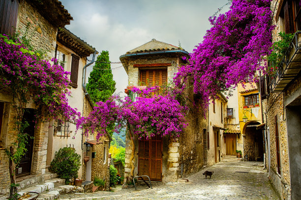 provence