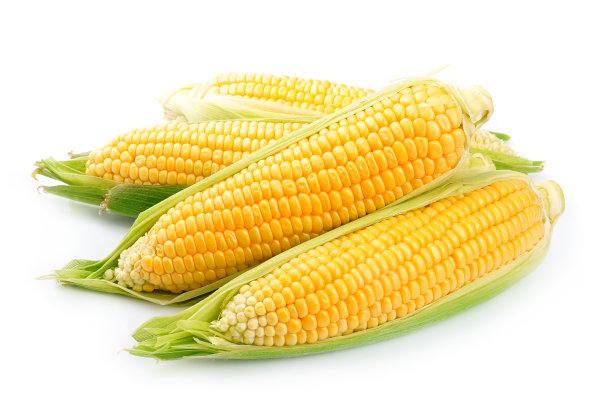 maize