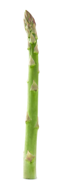 officinalis