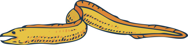 moray