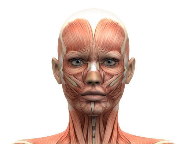 face