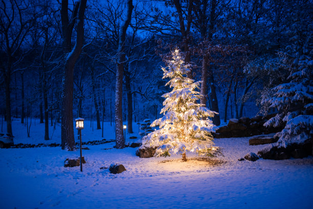illumination