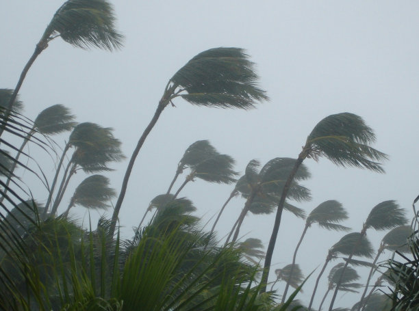 wind
