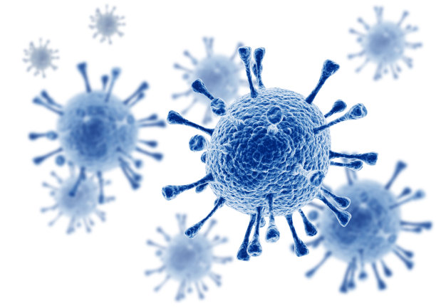 bacteria