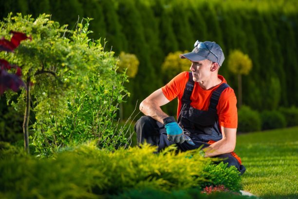horticulture