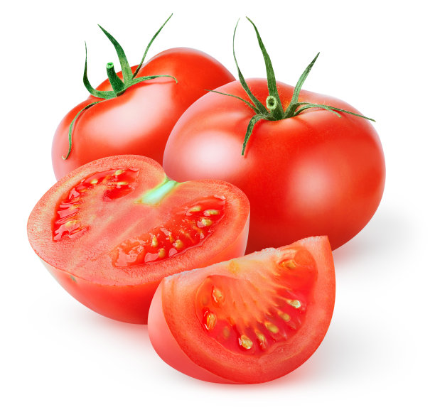 lycopersicon