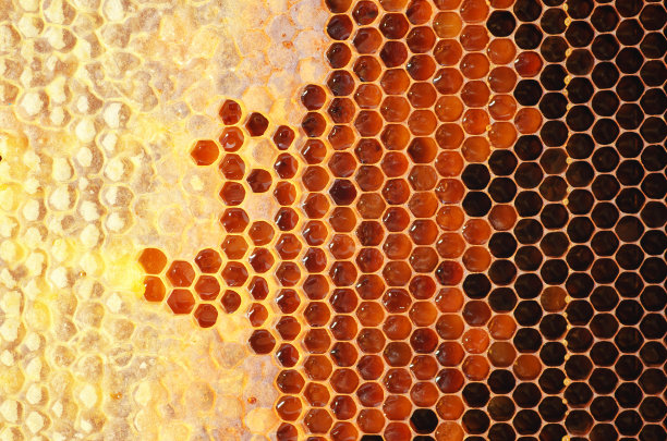 honeycomb