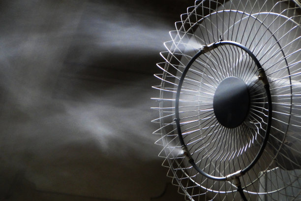 fan