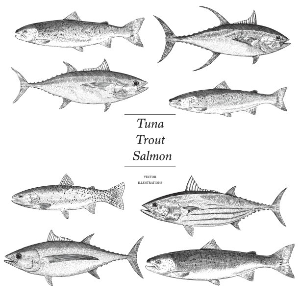 tuna