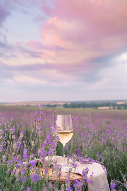 provence