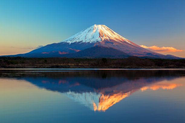 fuji
