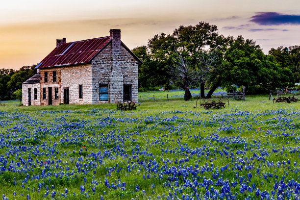 texas