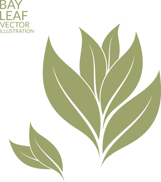 laurel