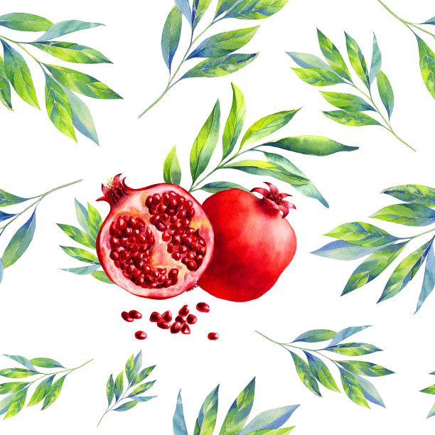 石榴包装插画