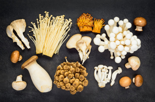 mushroom