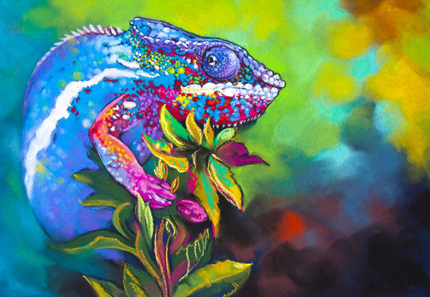 chamaeleon