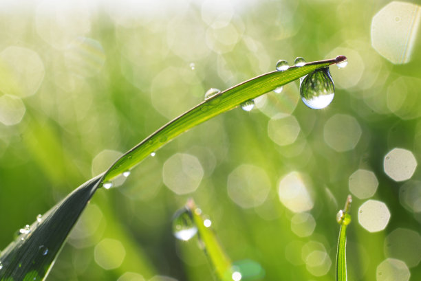 雨滴图片