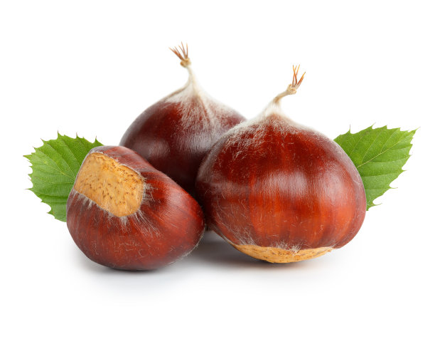 chestnut