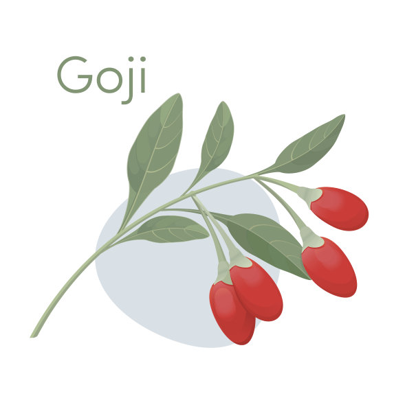 枸杞枸杞枝