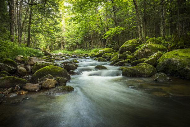 山涧溪水