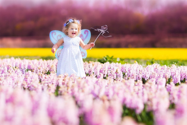 fairy