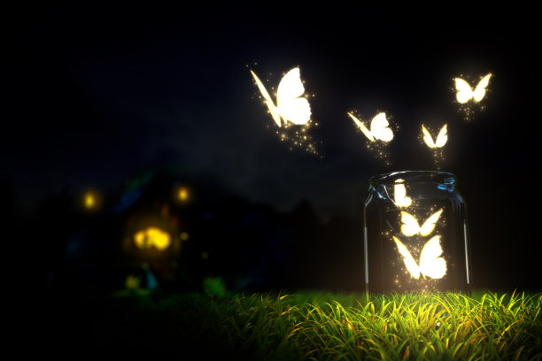 发光的蝴蝶