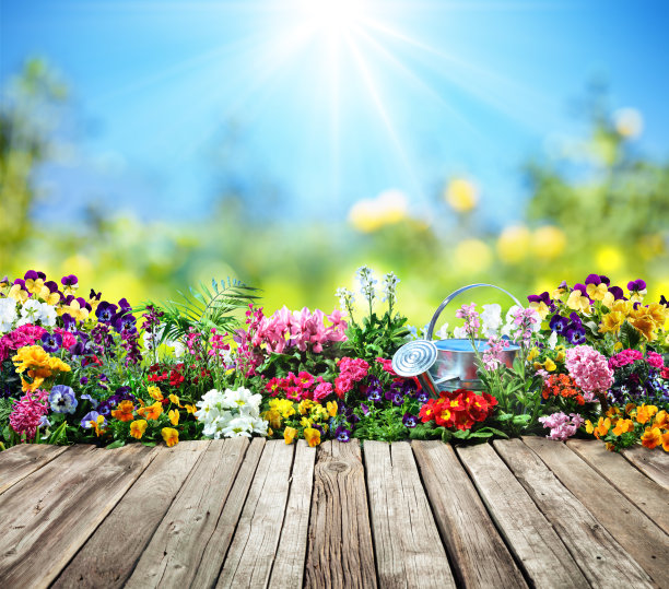 horticulture