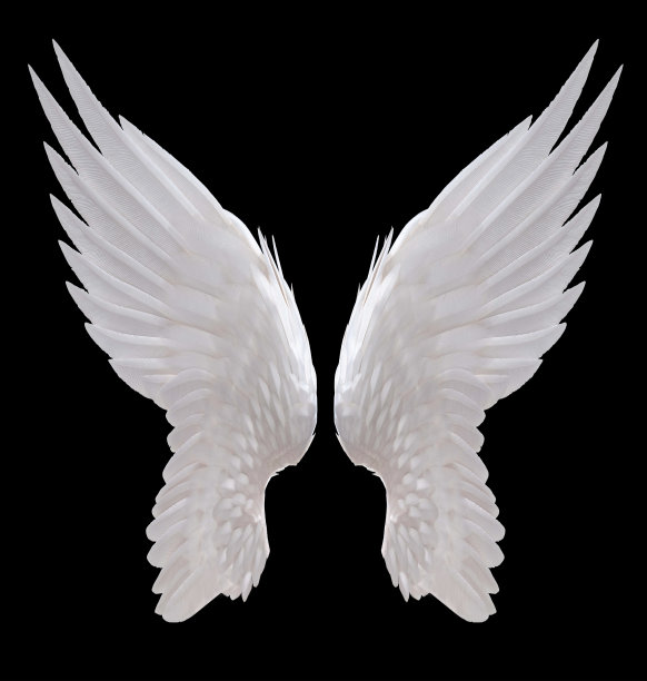 wings
