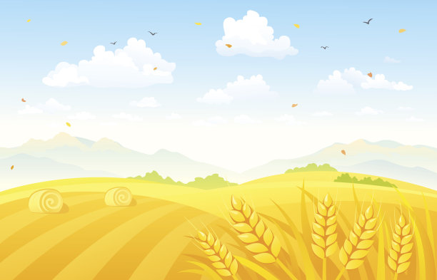 triticum