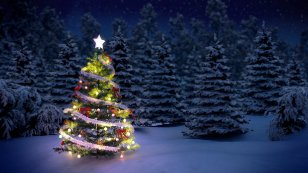 雪地圣诞树