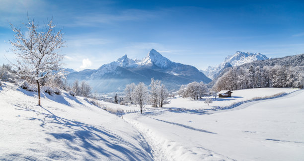 冰天雪地 冬天 雪景 风景 自