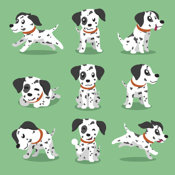 dalmatian