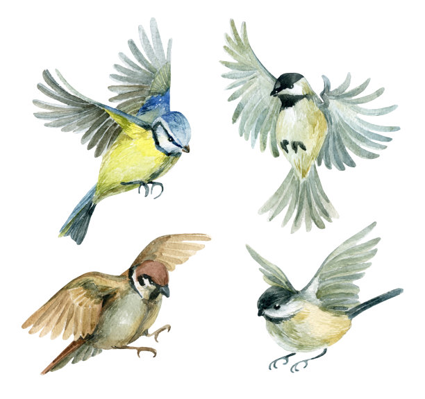 avian