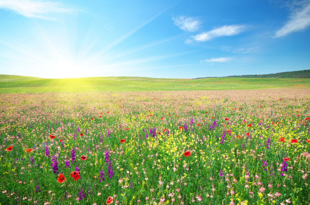 springtime