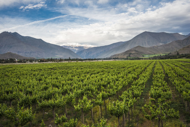 chile
