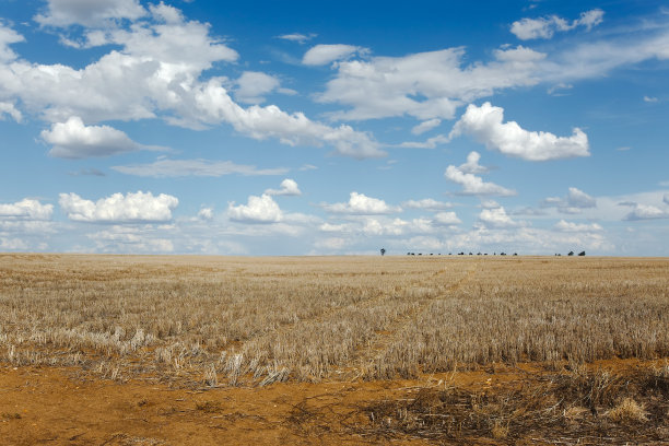 desolate