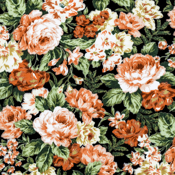 toile