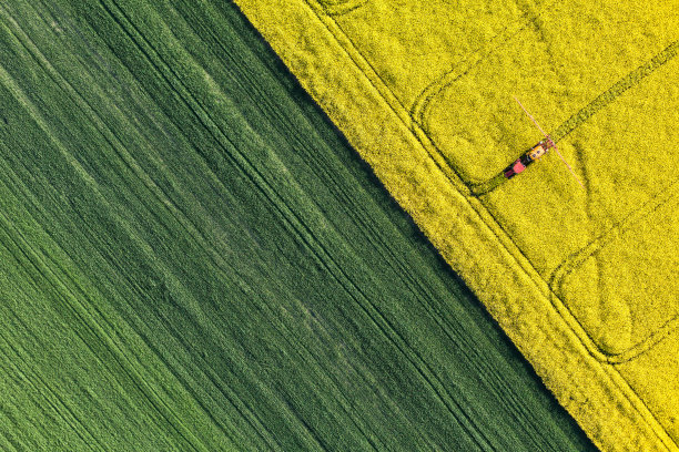 harvest