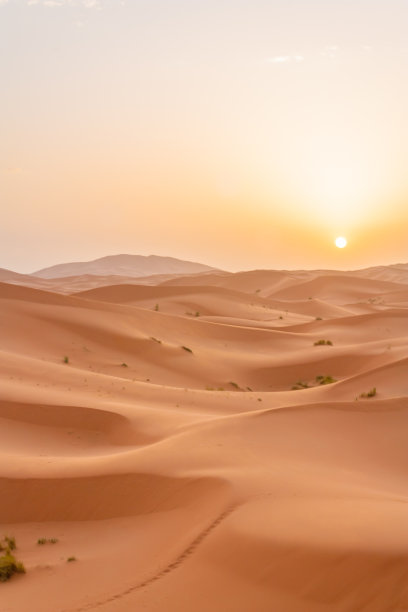desert