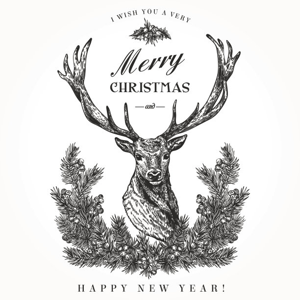 deer