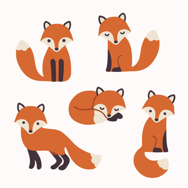 fox