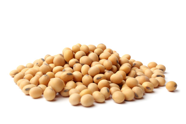 bean