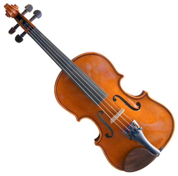 violin