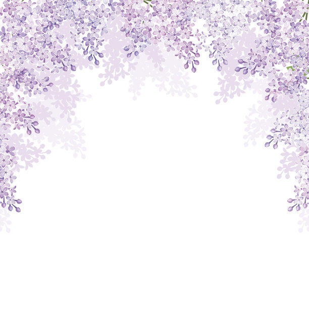 lilac