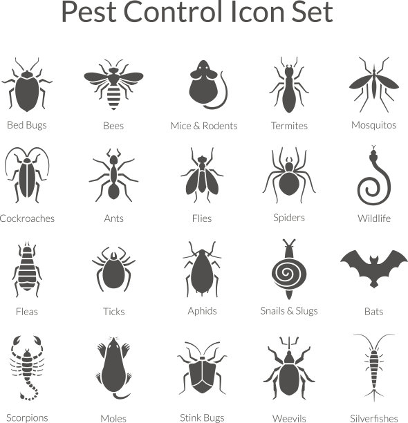 entomology