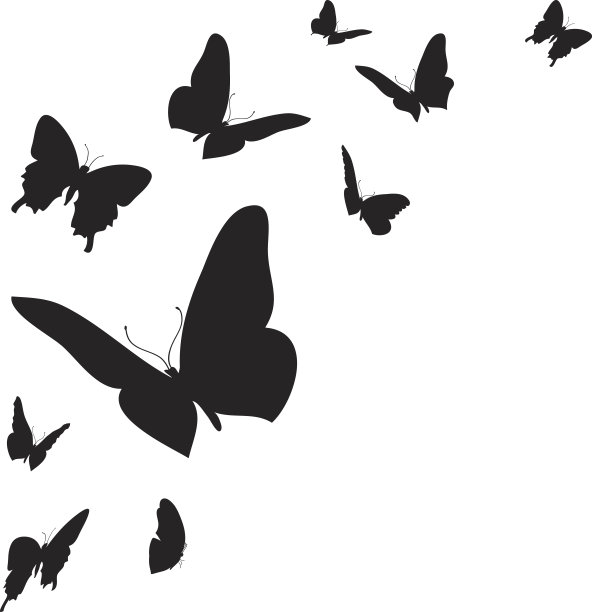 papilio